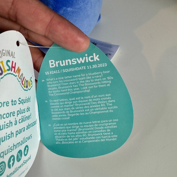 Brunswick the Blueberry 🫐 Bear Squishmallow! 🧸 - Picture 4 of 4